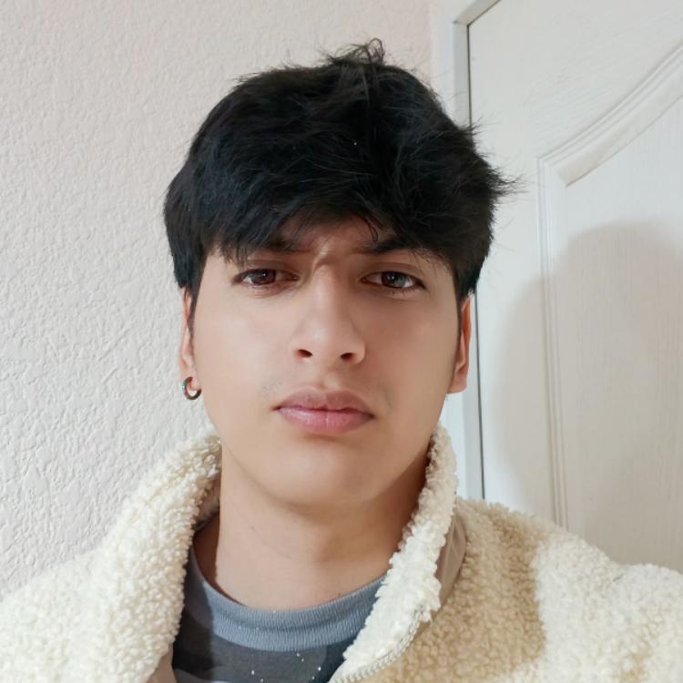 User Image